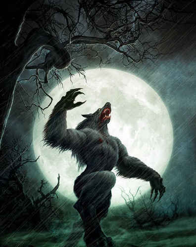  ~werewolf~
