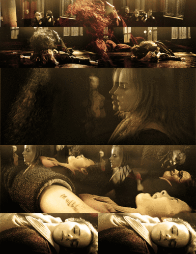  Bellatrix&Hermione