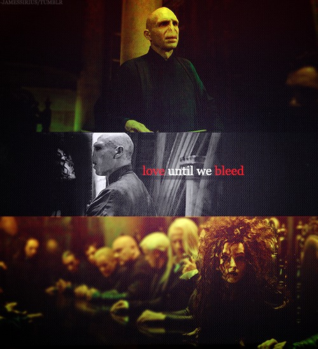 Bellatrix&Voldemort