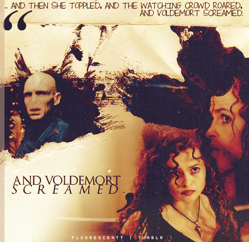  Bellatrix&Voldemort