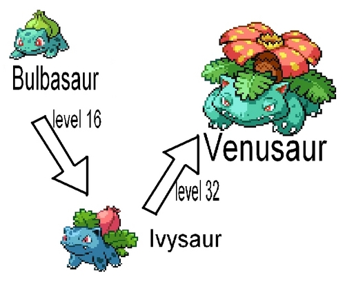  Bulbasaur Evolution Chain