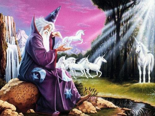  fantasia Wizard