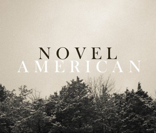  Novel American