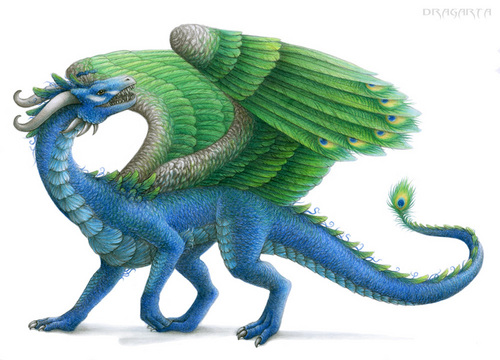  Peacock Dragon