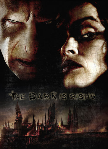 Voldemort and Bellatrix poster