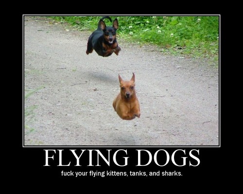  Flying
