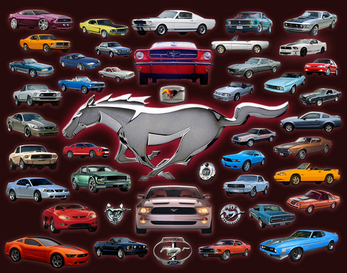 Ford Mustang Collage