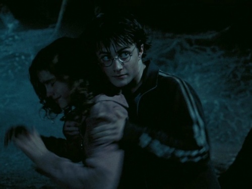 Harry and Hermione :)