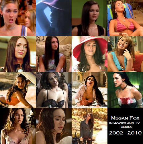  Megan لومڑی on the screen (2002 - 2010)