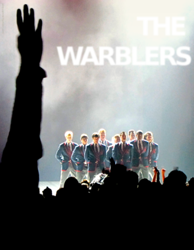  The Warblers LIVE