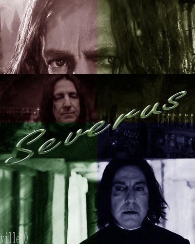  severus color of my Liebe
