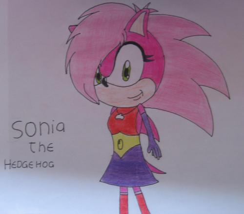 sonia the hedgehog