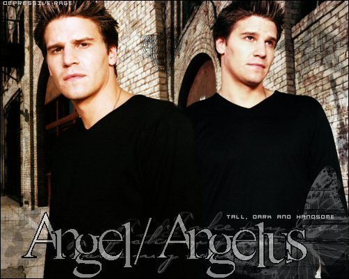  **Angel/Angelus**