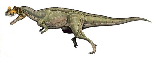  Ceratosaurus