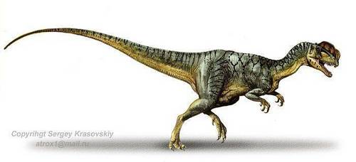  Dilophosaurus