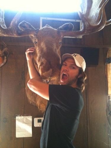  Jared first twitpic! moose vs moose