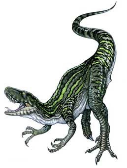  Staurikosaurus