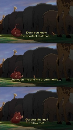  The Lion King