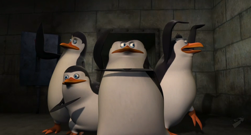  The Penguins!!