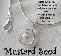  faith like a mustard seed
