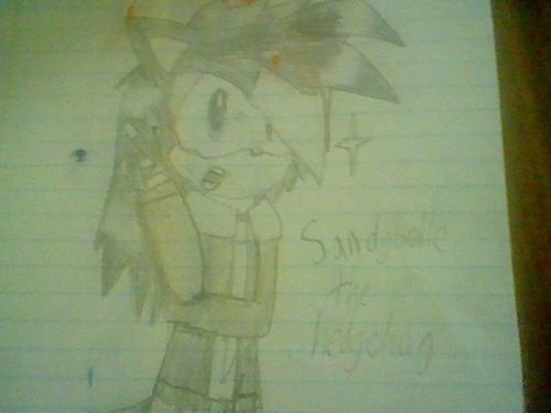 sandybelle the hedgehog - high school form