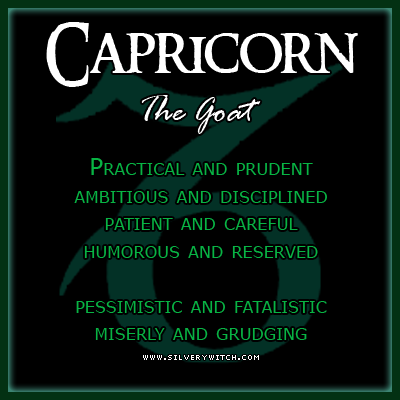  Capricorn characteristics