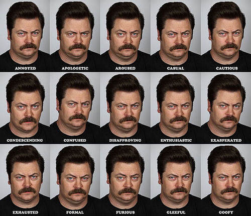 The Many Faces of Ron Swanson