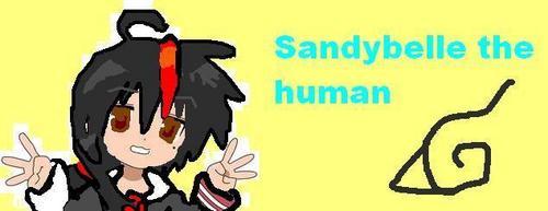 sandybelle as a human