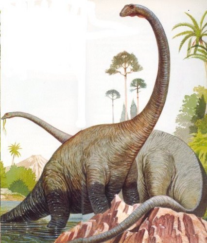  Diplodocus