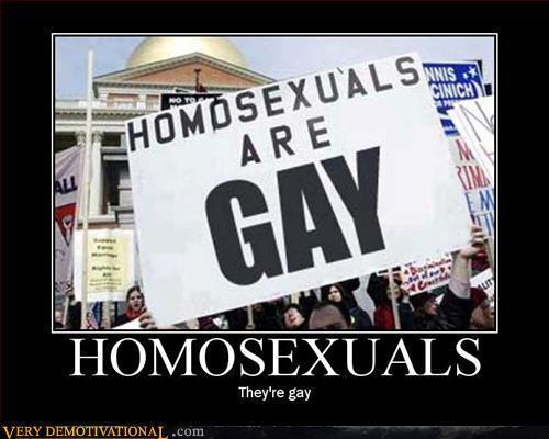  Homosexuals are Gay