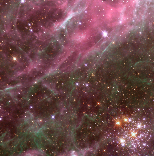  тарантул Nebula
