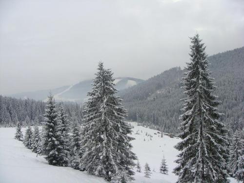  Winter Carpathians