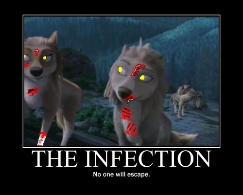 Zombie wolves
