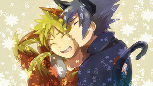 sasuke and naruto cat