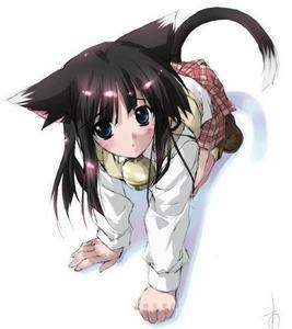  日本动漫 Cat Girl