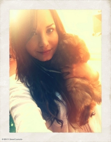  Demi with her dog