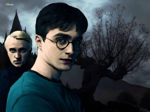 Harry and Draco
