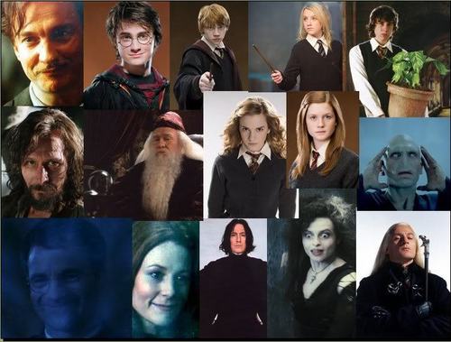  Harry potter collages