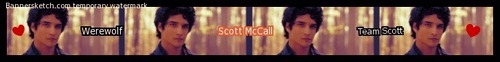  Scott MaCall Banner