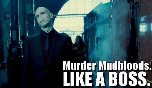  Voldemort- Like A Boss