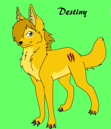  my wolf, Destiny :)