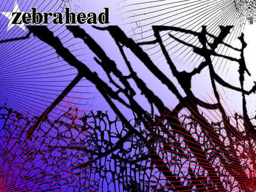  zebrahead