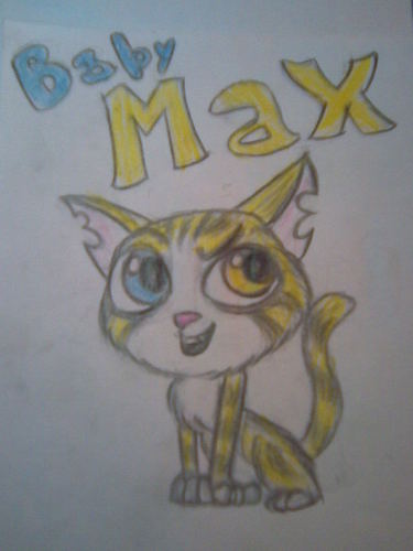  Baby Max =D (MaxTheCat' s request)