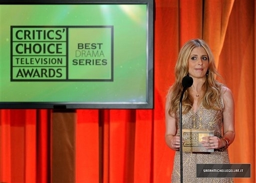  Critics' Choice ویژن ٹیلی Awards