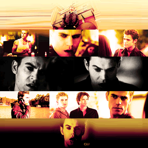  Damon and Stefan♥