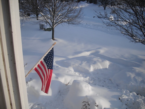  U.S. Flag Winter