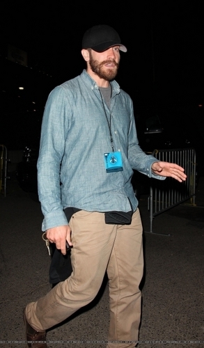  jake gyllenhaal attending U2 concerto