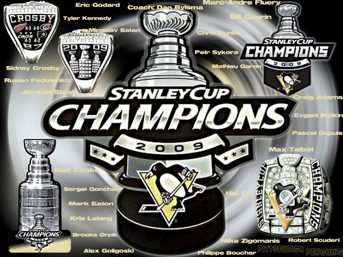 2009 Stanley Cup Champions
