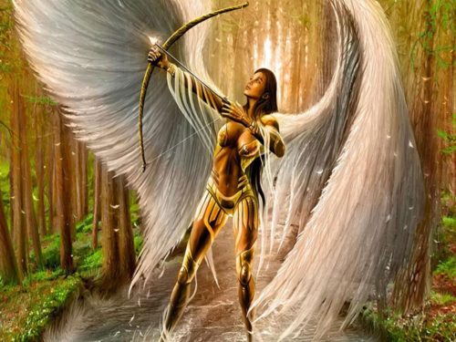  angel Warrior