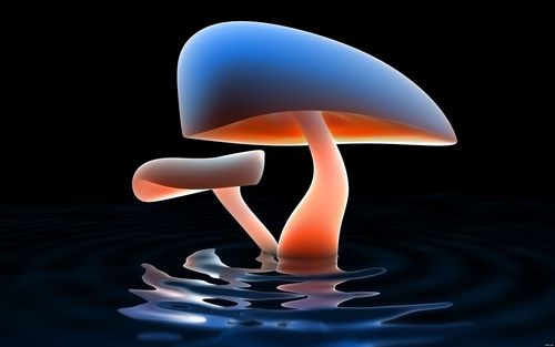 Blue Mushroom_Reflection